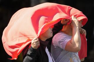 ARCHIVO - Un hombre y una mujer se cubren la cabeza con un mantel para protegerse del sol en Manila, Filipinas, el 29 de abril de 2024. (AP Foto/Aaron Favila, Archivo)