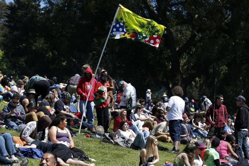 Marijuana fans converge on Hippie Hill for the annual 4/20 celebration of cannabis at Golden Gate Park in San Francisco, Calif. on Friday, April 20, 2018. (Photo By Paul Chinn/The San Francisco Chronicle via Getty Images)