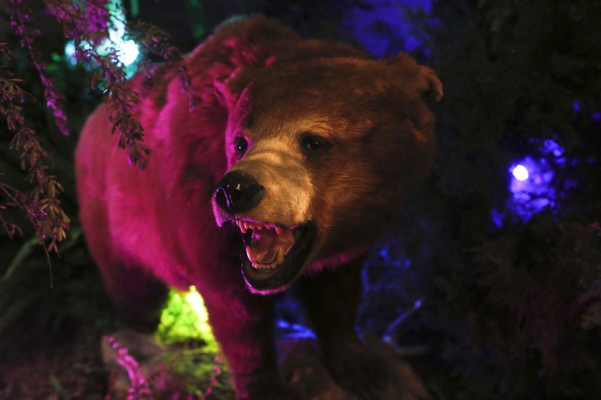 A stuffed bear at the art installation/dinner series Cut Your Teeth.