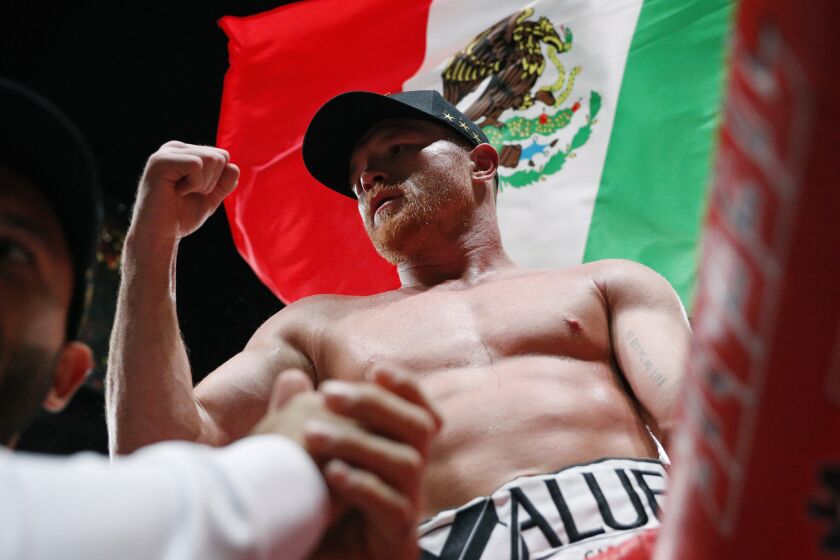 Canelo Alvarez, of Mexico, celebrates after defeating Daniel Jacobs in a middleweight title boxing match Saturday, May 4, 2019, in Las Vegas. (AP Photo/John Locher)