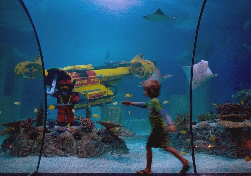 Legoland to reopen its aquarium this Saturday, but the ...