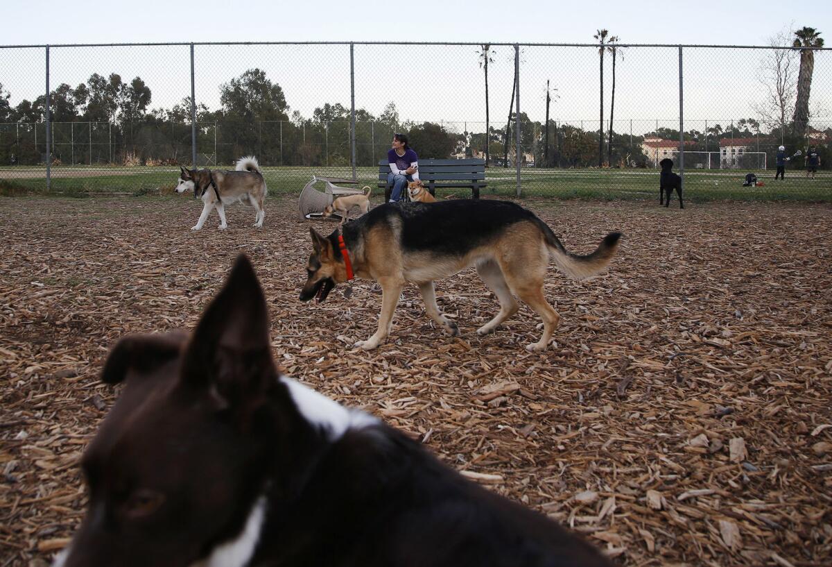 Federal officials have reached agreement for Barrington Park to stay on veterans land, but the fate of a popular dog park is up in the air.