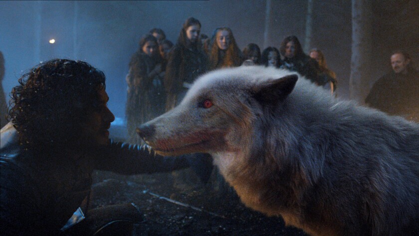 Game Of Thrones So Is That It For The Direwolves Los Angeles