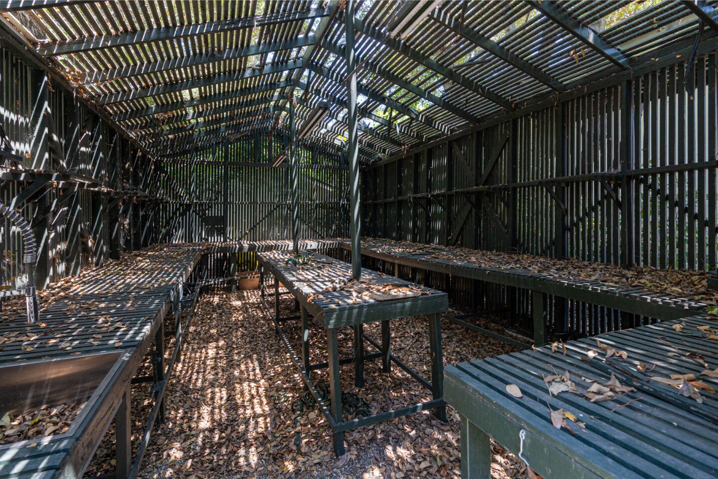 The greenhouse.