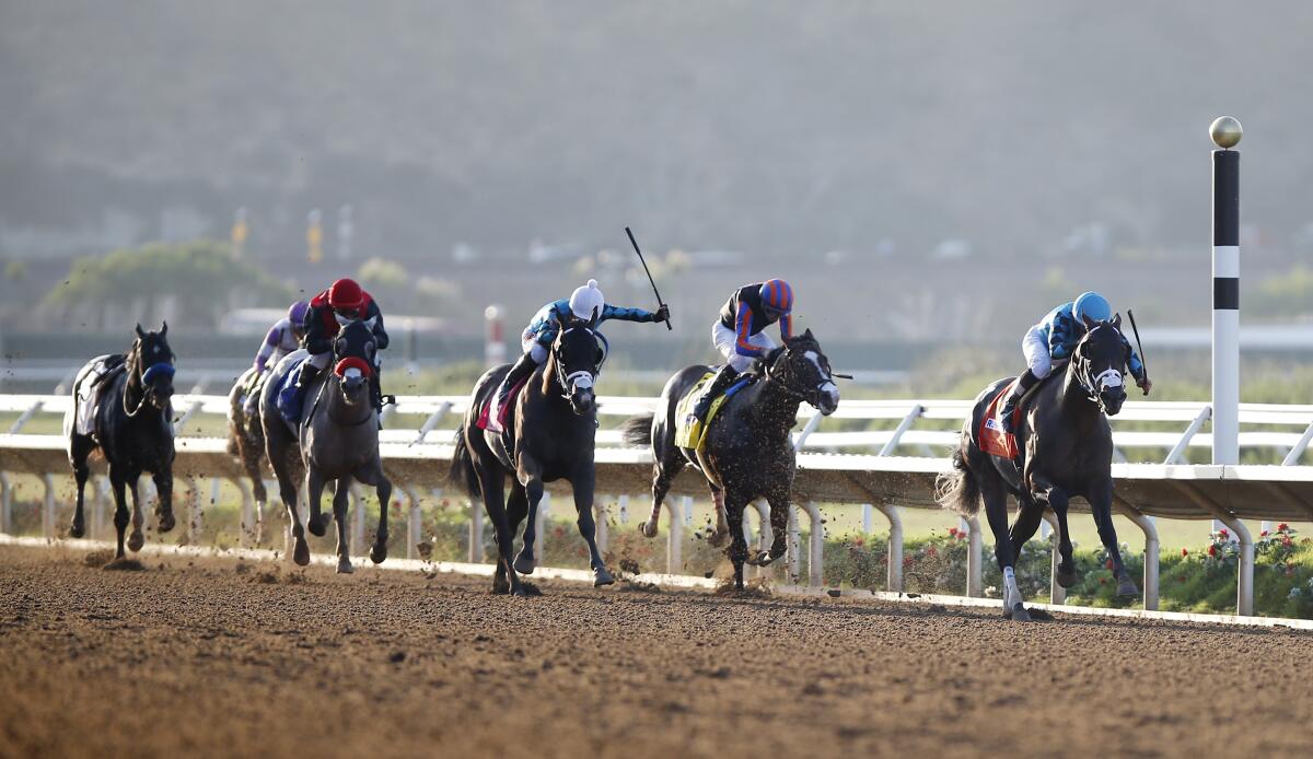 Nucky, right, ridden by Norberto Arroyo Jr, won the Del Mar Futurity at Del Mar on Monday.