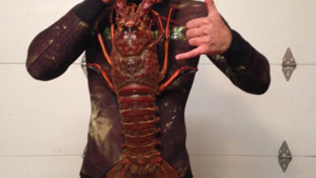 Diver bags nearly 18-pound lobster - Los Angeles Times