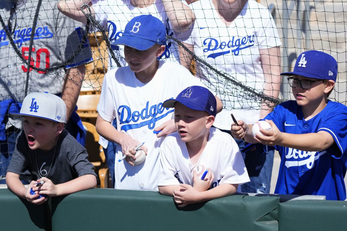 Los Angeles Dodgers fans try to get autographs prior to a spring training baseball game.