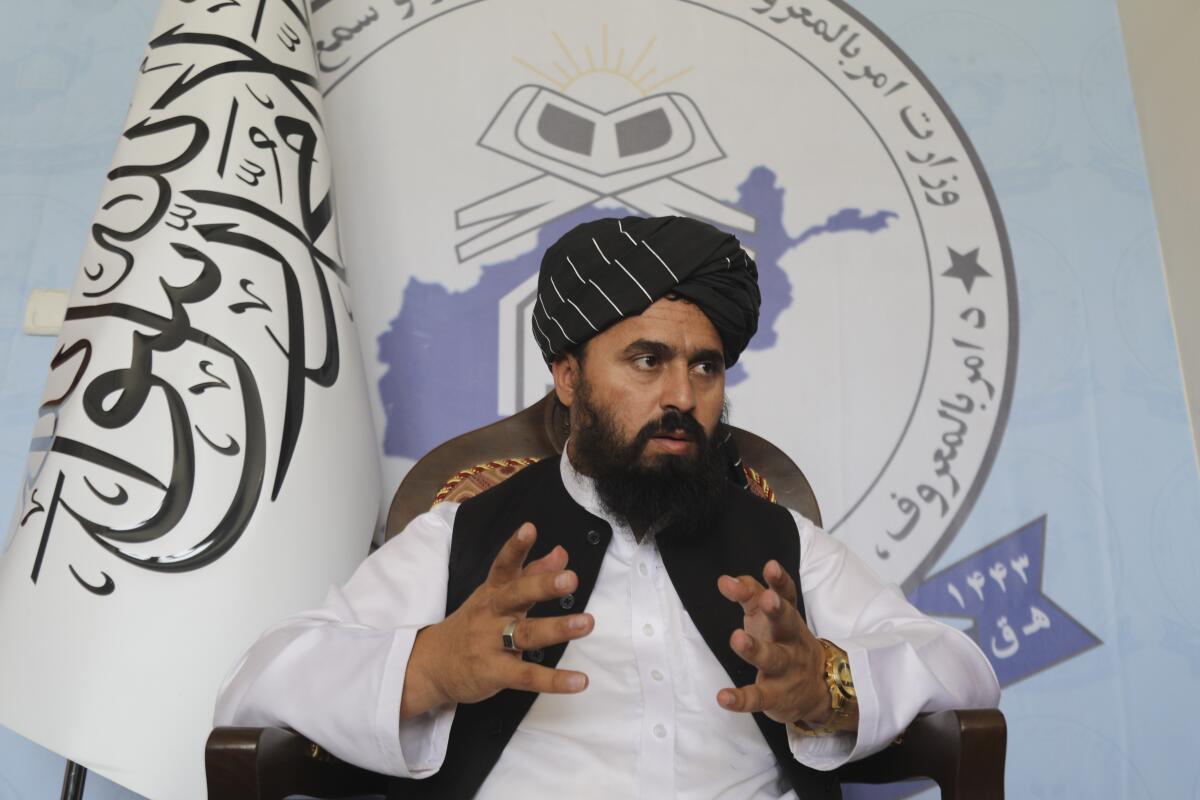 A Taliban official speaks in front of a flag and seal.