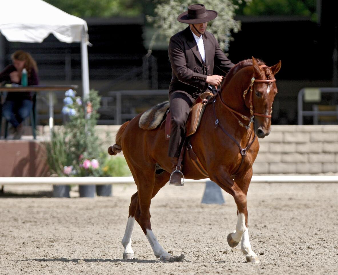 Photo Gallery: The annual Fiesta Charity Horse Show