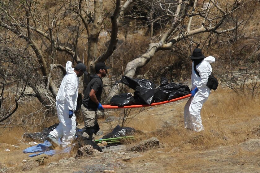 Forensic experts work with several bags of human remains extracted from the bottom of a ravine by a helicopter, which were abandoned at the Mirador Escondido community in Zapopan, Jalisco state, Mexico on May 31, 2023. The Jalisco Prosecutor's Office is investigating to find out if the remains belong to the 7 call center workers who disappeared on their way to work in recent days. (Photo by ULISES RUIZ / AFP) (Photo by ULISES RUIZ/AFP via Getty Images)