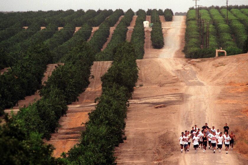 Members of the McFarland High School cross-country team train while running through the vineyards of McFarland in 1997.