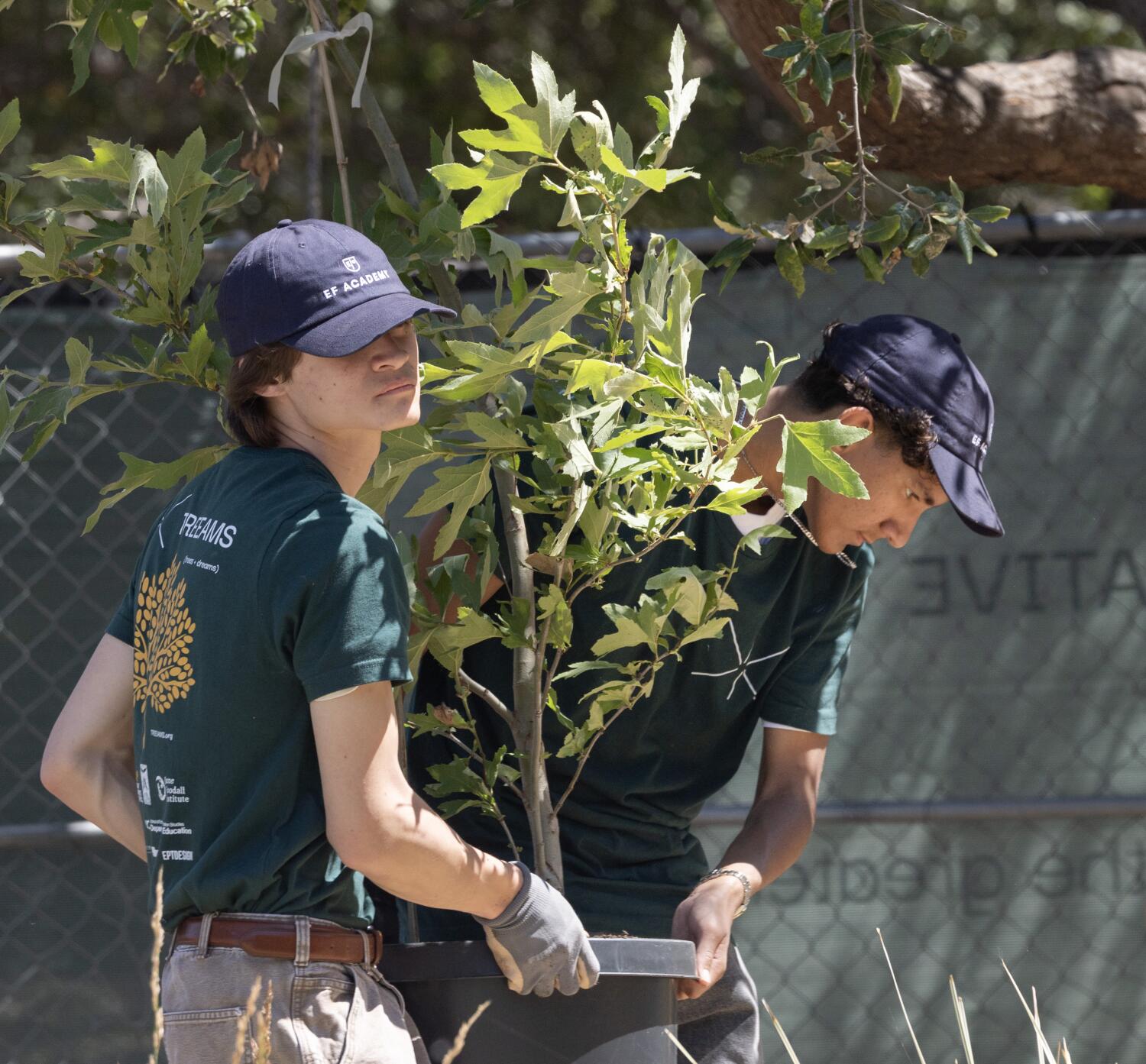 Source-feed image associated with Inspired by Jane Goodall, students build nurseries to reforest L.A.'s fire-scorched communities