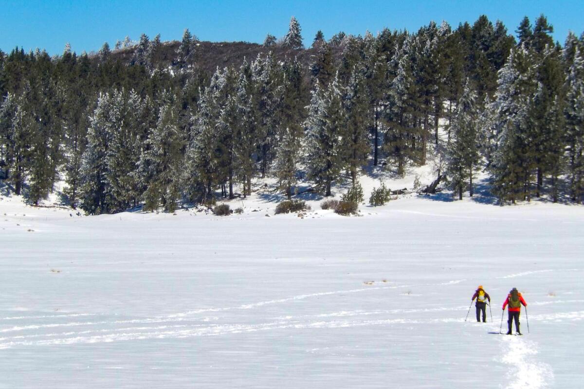The Lagunas in East County, San Diego, receive sizable snowfalls every winter, enough to go snowshoeing, shown here in 2019.