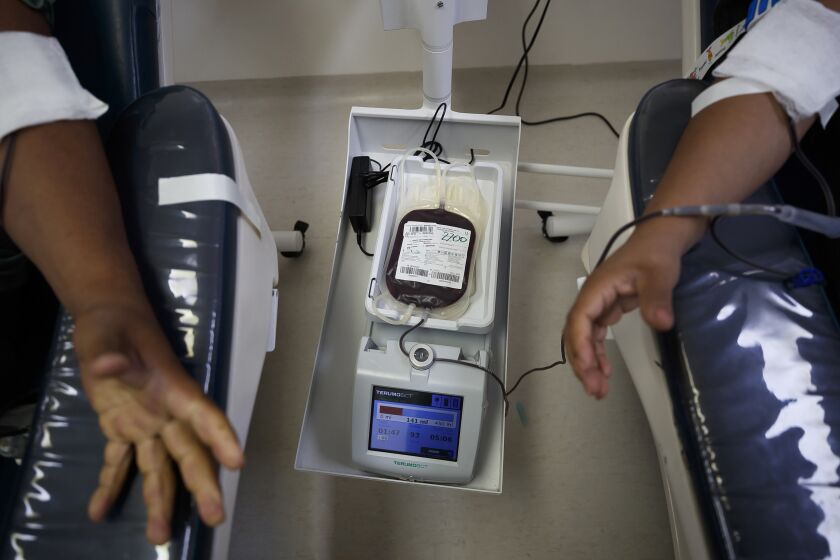 Información es clave para atención integral de la hemofilia en Latinoamérica