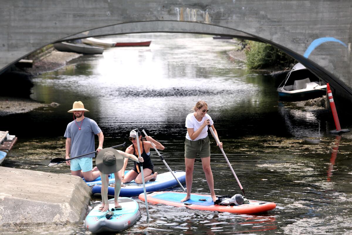 Four people on paddleboards prepare to disembark along the Venice Canals