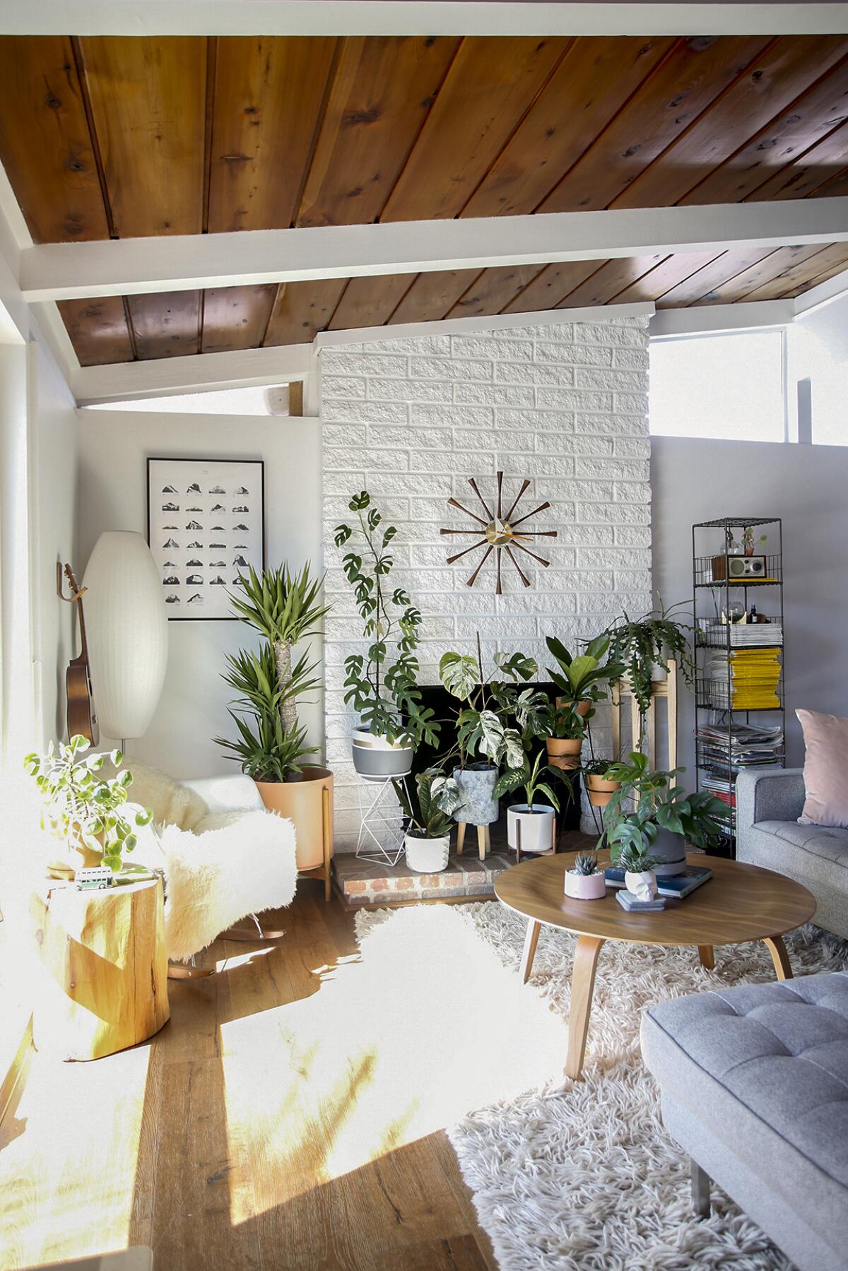 Light shines through a window in a room filled with greenery in "Houseplants for All: How To Fill Any Home With Happy Plants"