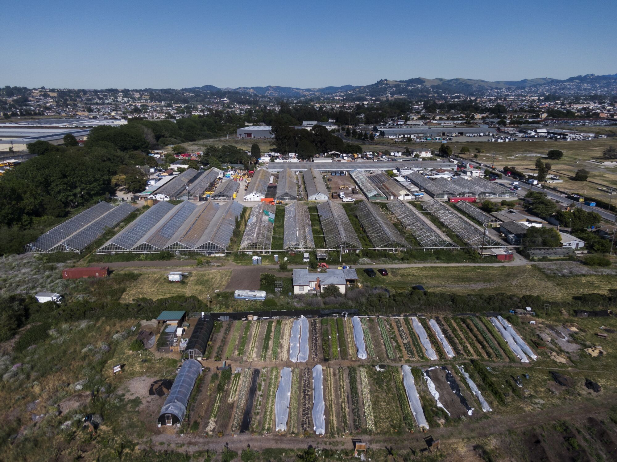 Urban Tilth farm, foreground, in North Richmond.