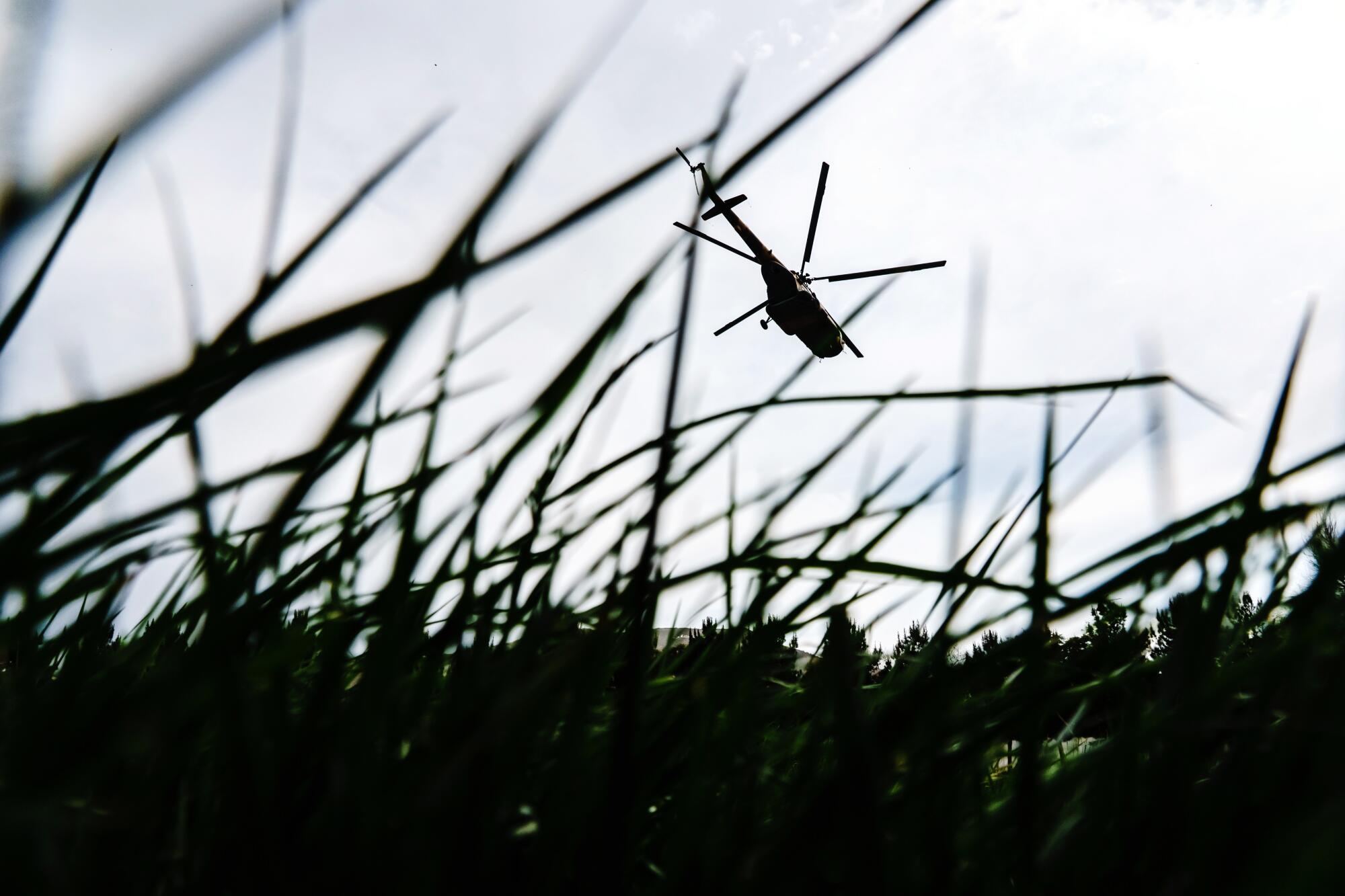 A helicopter is seen through blades of grass.
