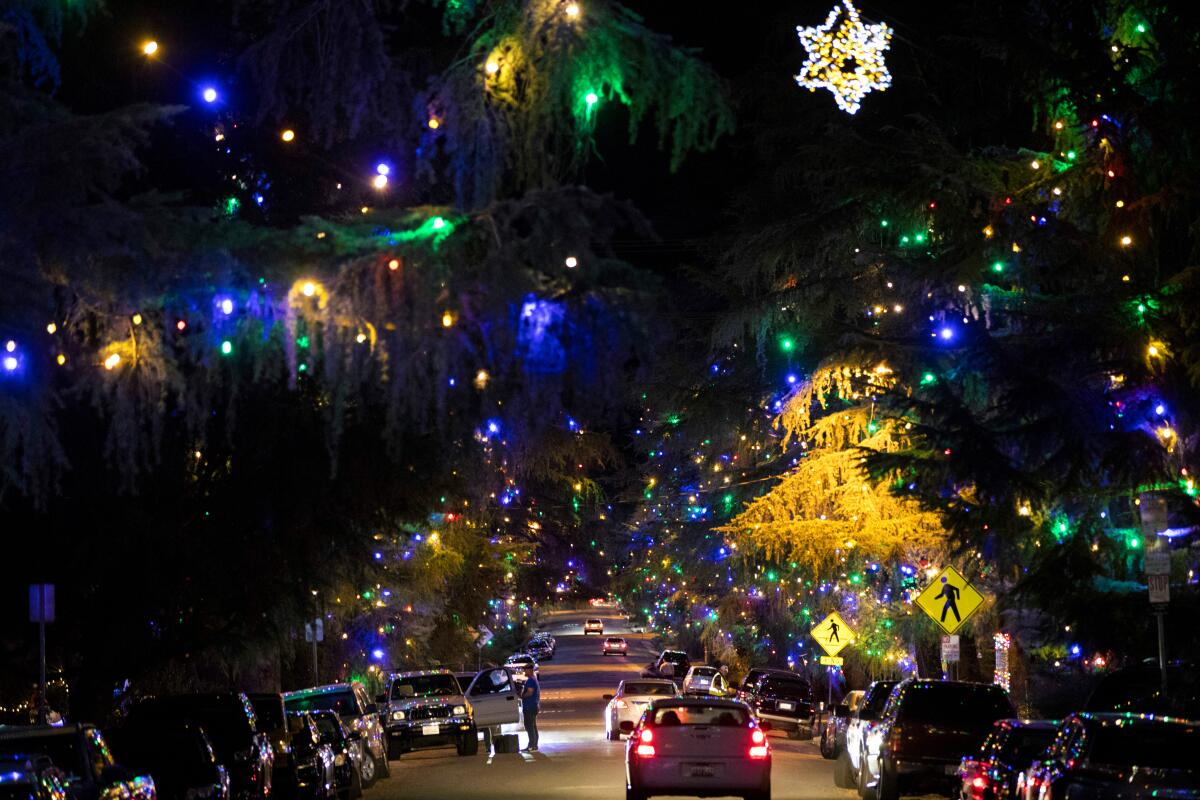 Motorists cruise Santa Rosa Avenue, better known as Christmas Tree Lane, in Altadena.