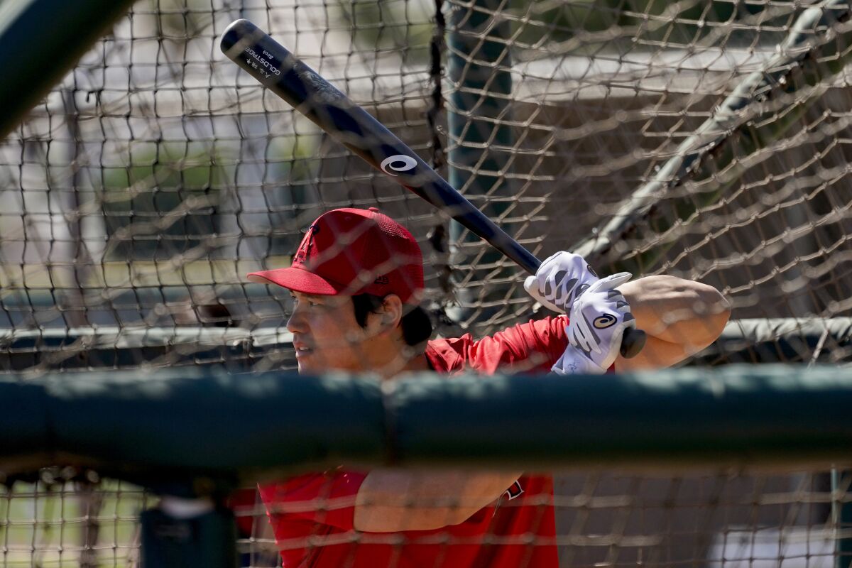 The Angels' Shohei Ohtani gets set in the batter's box during a spring workout.