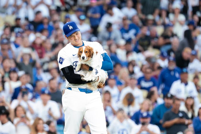 LOS ANGELES, CALIFORNIA - AUGUST 28: Shohei Ohtani #17 of the Los Angeles Dodgers holds onto his dog Decoy after Decoy ran out the first pitch before the game against the Baltimore Orioles at Dodger Stadium on Wednesday, Aug. 28, 2024 in Los Angeles, California.(Wally Skalij / Los Angeles Times)