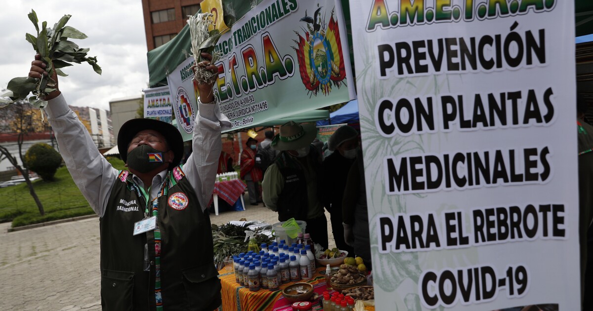 Bolivia impulses traditional medicine against COVID-19