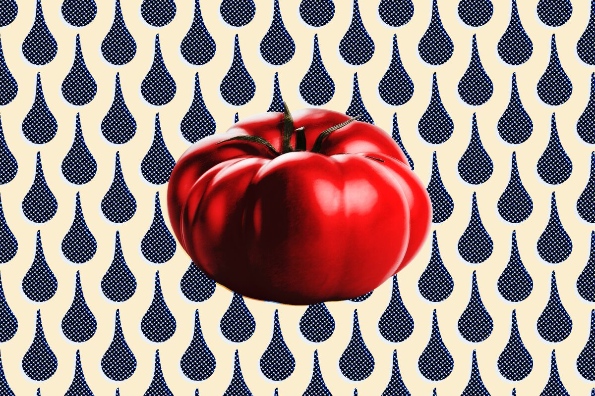 An illustration of a tomato with a raindrop pattern background