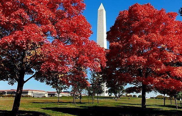 Washington, D.C.