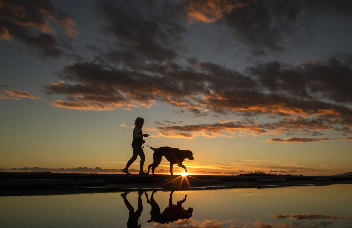 A woman and dog are in silhouette against the setting sun and reflected in water.