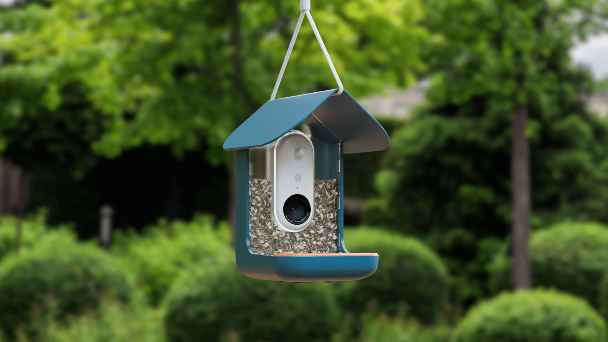 A seed-filled bird feeder with a blue roof and a camera module in the middle 