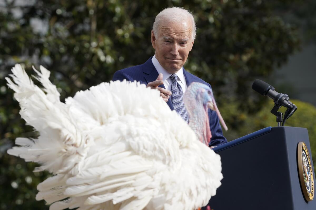 President Biden smiles benevolently at a white turkey.