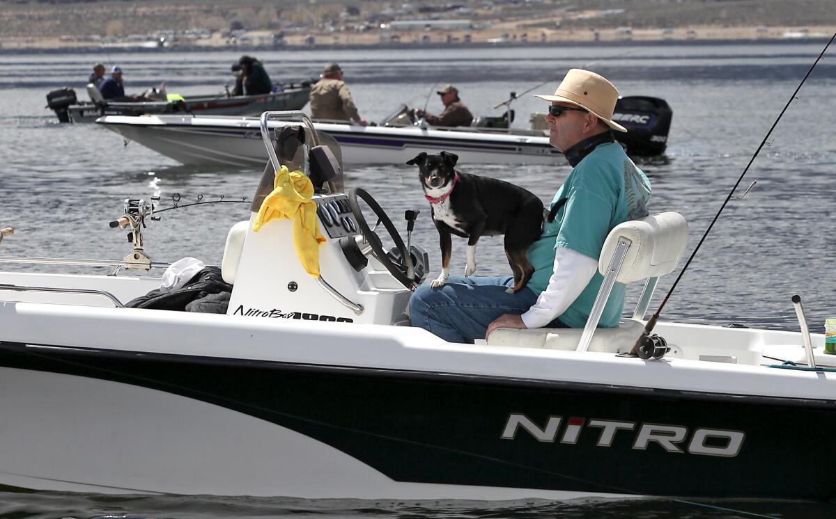 A dog joins its owner and other boaters for "Fishmas," the High Sierra trout season, on opening day, April 29, 2016, at Crowley Lake.