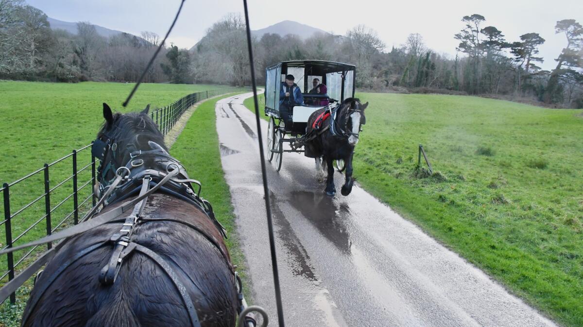 A "jaunting car" (horse drawn carriage) works the road to Muckross Abbey, Killarney, County Kerry, Ireland.