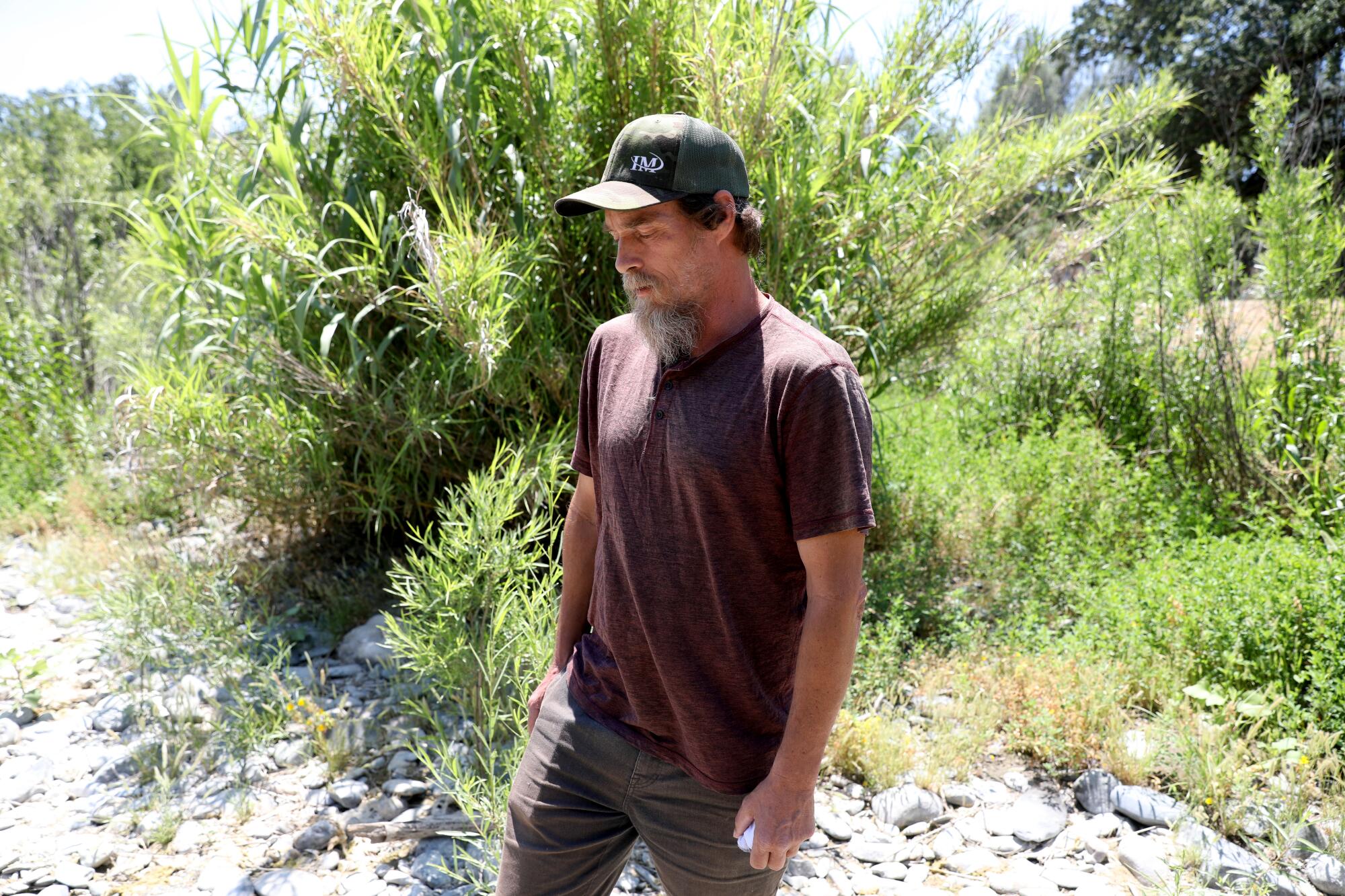 A man with a beard stands next to a bush.