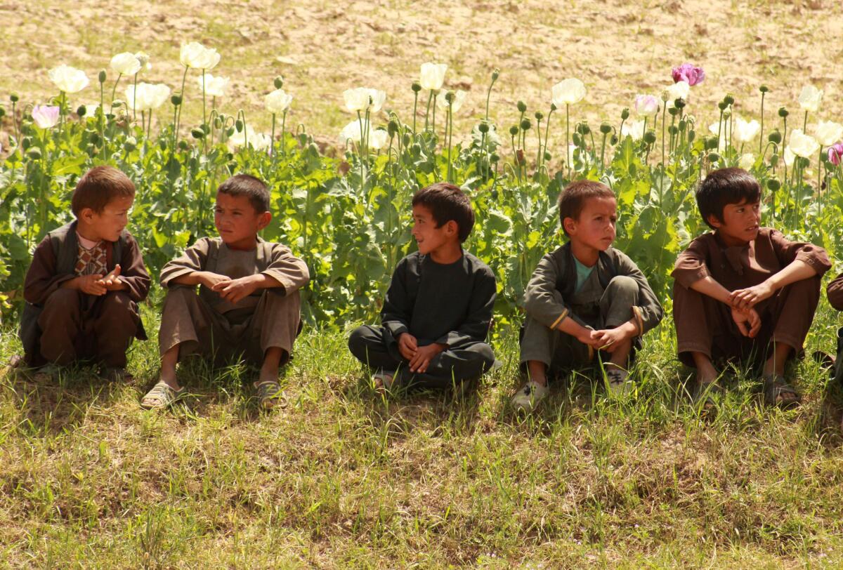 Afghan children sit next to a poppy field in Badakhshan province. 