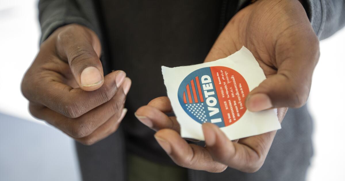 Your last-minute survival guide to voting on election day: California polling places, races, issues, food, sanity