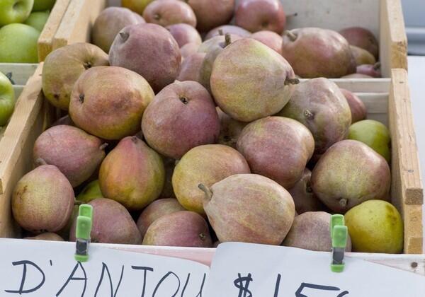 Also known as Red Anjou pears
