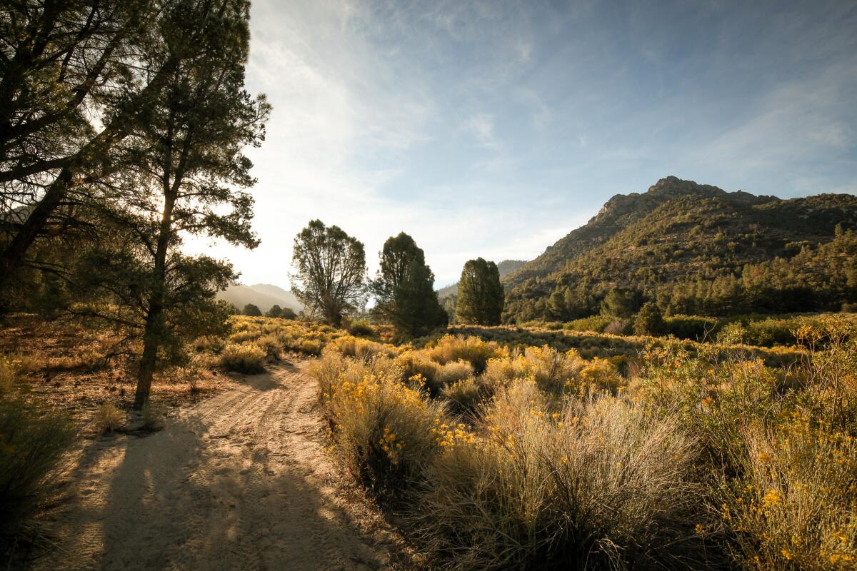 Chimney Creek Campground, Owens Peak Wilderness.