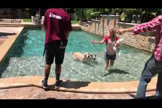 Poolside with Kaley Cuoco, Norman, Shirley, Rose and friends