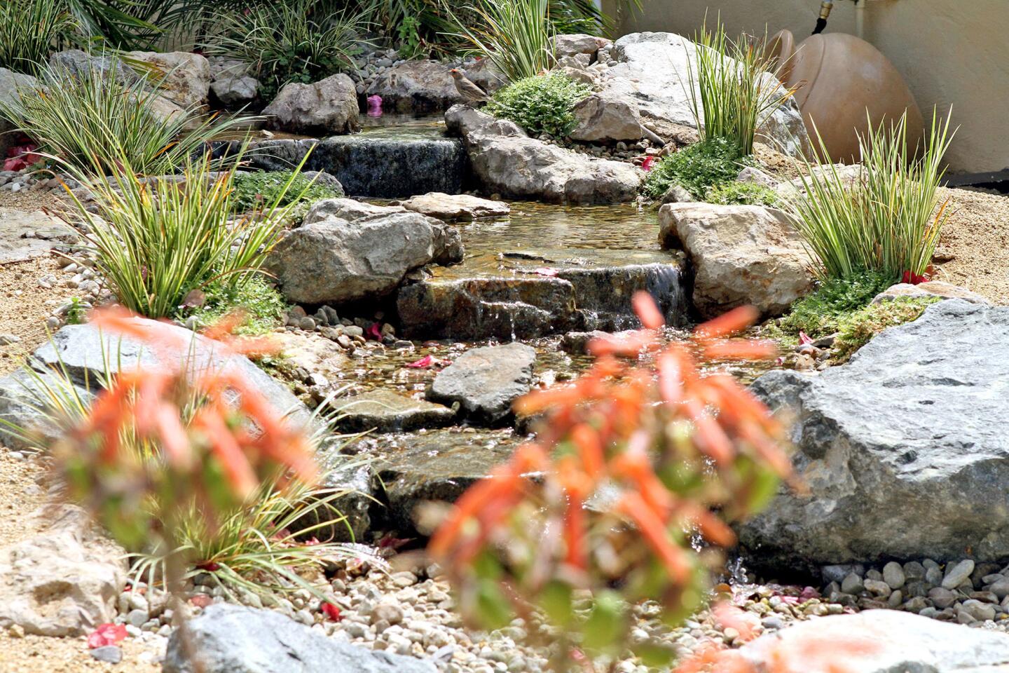 Photo Gallery: Drought tolerant garden saves water