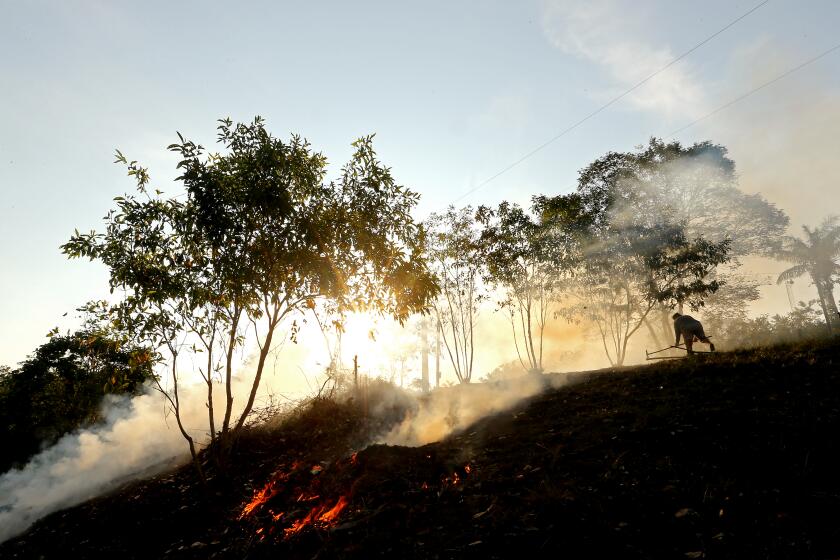 TUMBIRA, BRAZIL, CALIF. - SEPT. 22, 2021. A villager burns brush on a hillside to clear space for tourist cabins in Tumbira, Brazil. In 2008, the government turned hundreds of thousands of acres of rainforest surrounding the tiny community in the Amazon jungle into a "sustainable development reserve." To dissuade residents from foresting, a non-profit helped the village open an eco resort. (Luis Sinco / Los Angeles Times)
