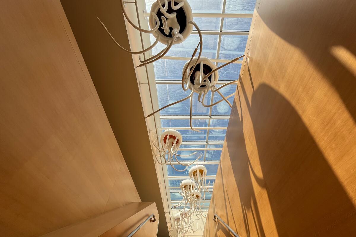 Jellyfish sculptures hang above a glass-ceilinged wooden stairwell at Manhattan Beach library