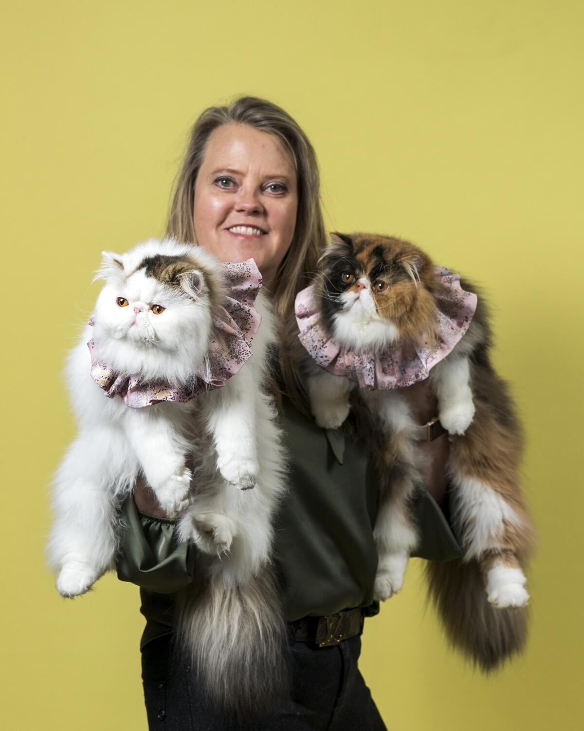 Anne-Charlotte Joseph holds her Persian cats Lunabelle, left, and Babybel, both wearing ruffled collars.