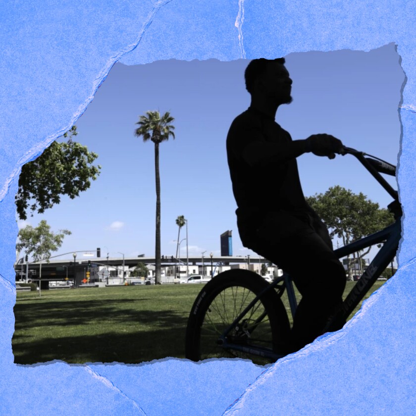 A cyclist is seen in silhouette. In the background is green lawn and a single palm tree.