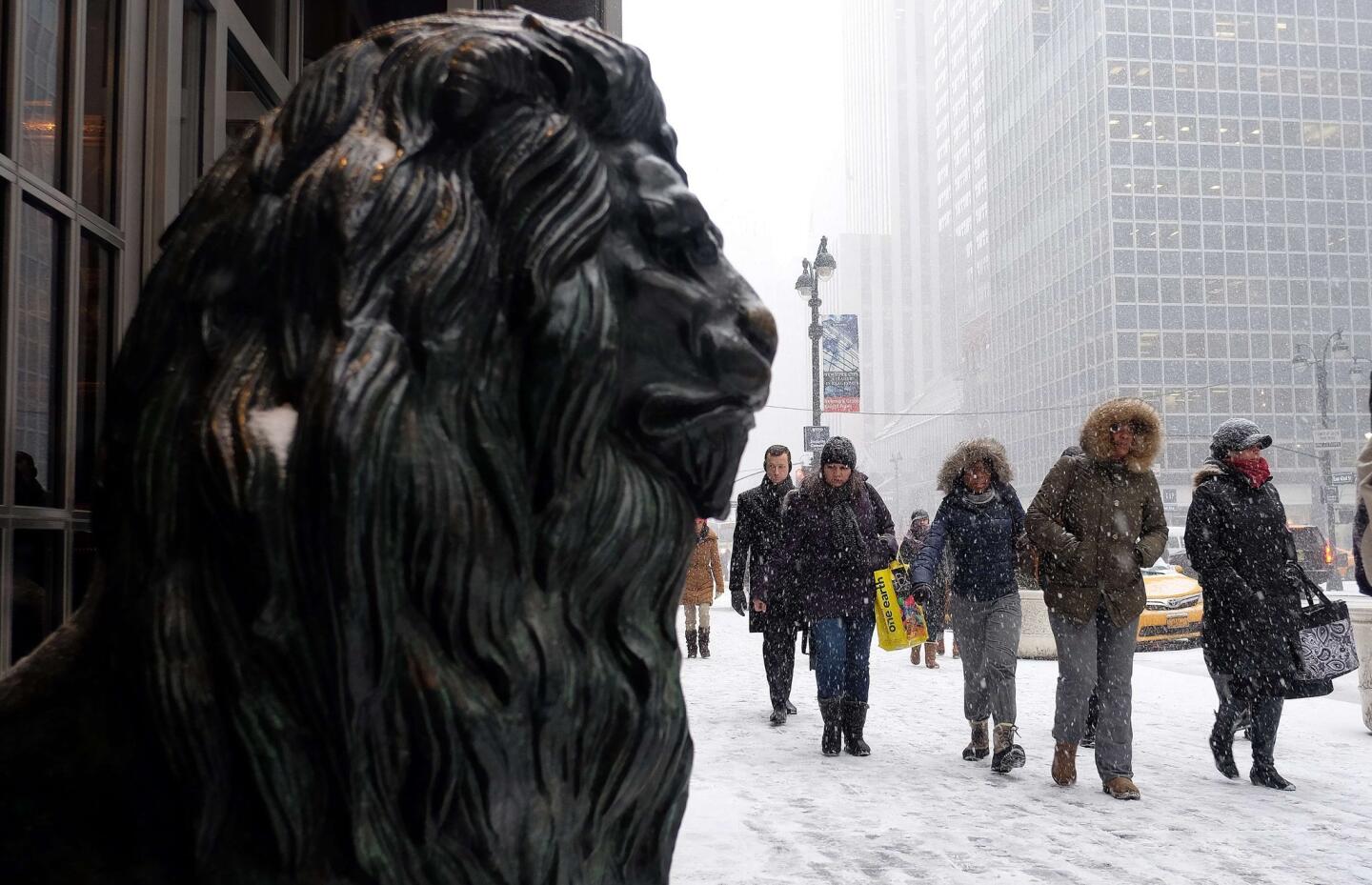 Stoic lion, stoic New Yorkers