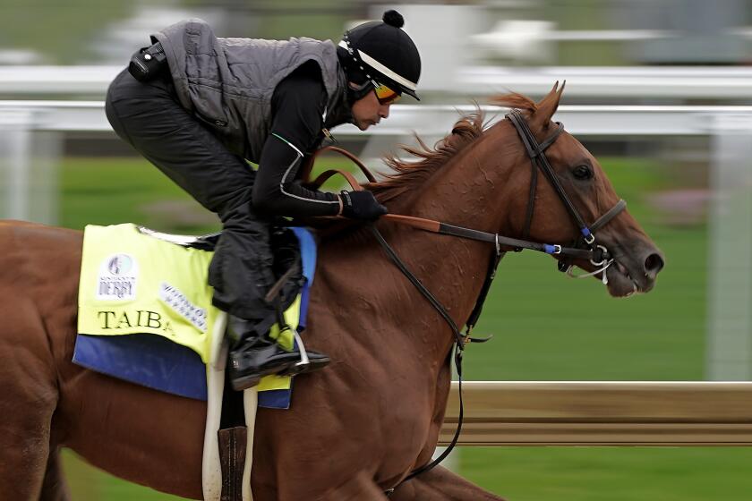 Kentucky Derby entrant Taiba works out at Churchill Downs Tuesday, May 3, 2022, in Louisville, Ky.