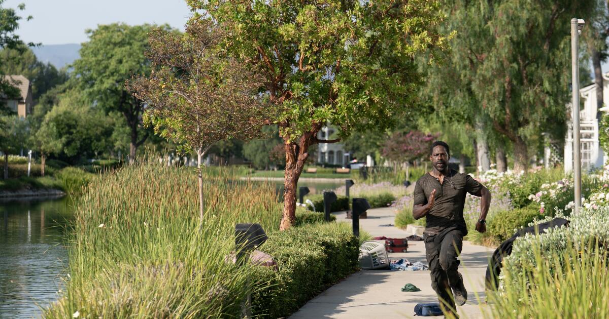 Finale de la saison 2 de « Paradise » : le créateur Dan Fogelman sur Sinatra et à quoi s’attendre pour la saison 3