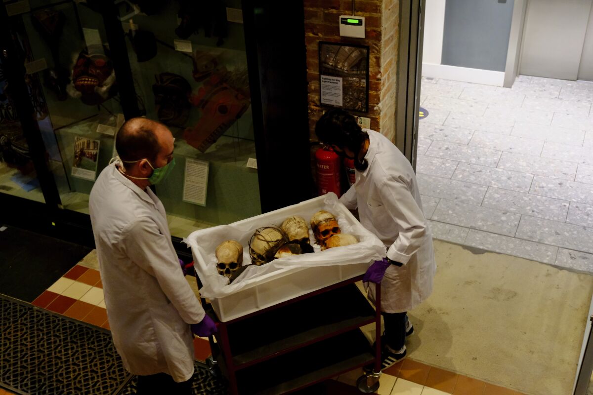 In this image taken in July 2020 and made available by Pitt Rivers Museum, a case of Human Remains are taken into storage at the Pitt Rivers Museum, part of the University of Oxford, Oxford, England. Oxford University’s Pitt Rivers Museum has removed its famous collection of shrunken heads and other human remains from display as part of a broader effort to “decolonize’’ its collections. The museum, known as one of the world’s leading institutions for anthropology, ethnography and archaeology, had faced charges of racism and cultural insensitivity because it continued to display the items. (Hugh Warwick/Pitt Rivers Museum, University of Oxford via AP)
