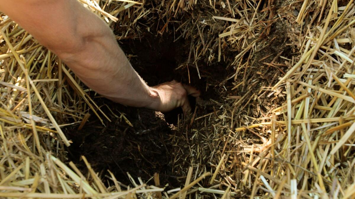 The book details how to make supersoil, or biodynamic compost. (Anne Cusack / Los Angeles Times)