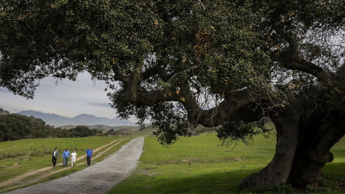 Tres Hermanos Ranch — 2,450 pristine acres owned by City of Industry — is in the heart of a raging battle among four cities and a utility company vying for control of the undeveloped wetlands and undulating hills within the boundaries of Diamond Bar and Chino Hills.
